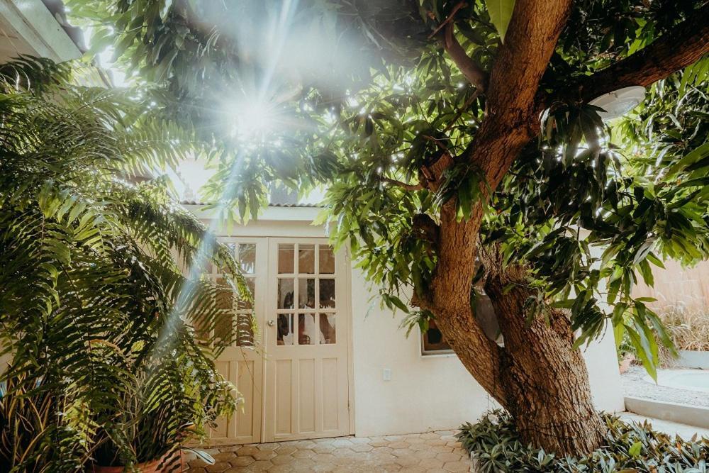 Homey Vacation And Carrental ウィレムスタッド エクステリア 写真